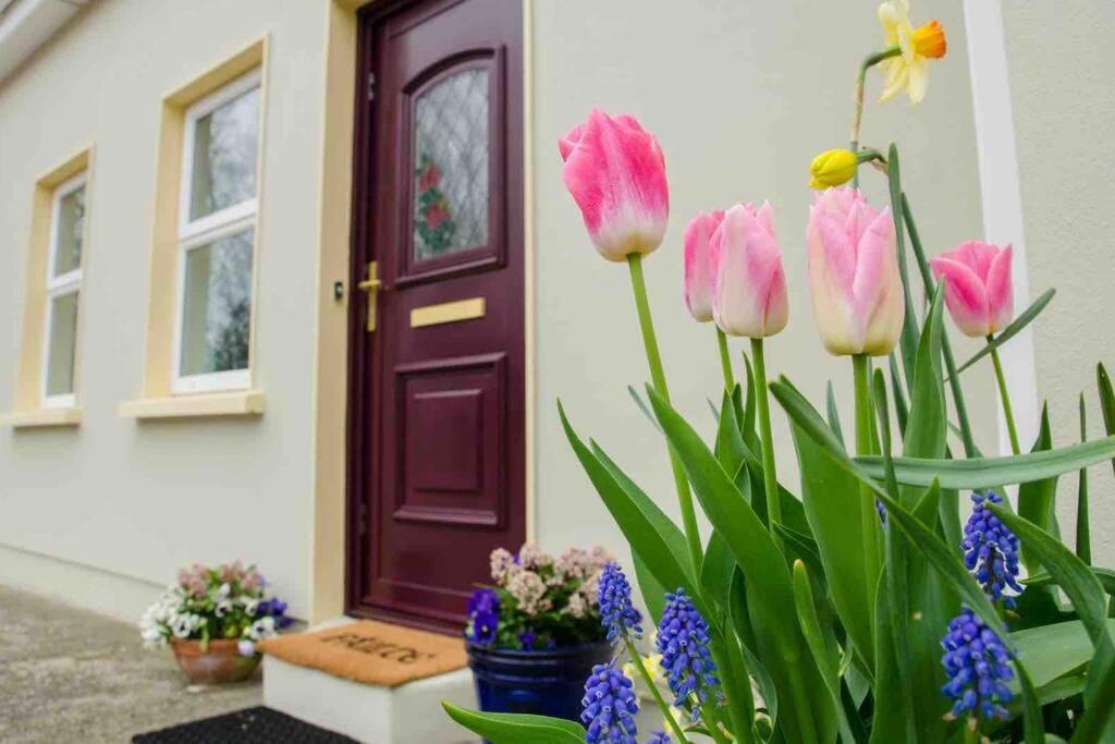 Kingfisher Riverside Retreat Kenmare Luaran gambar