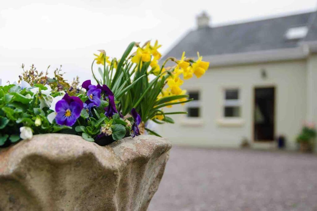 Kingfisher Riverside Retreat Kenmare Luaran gambar
